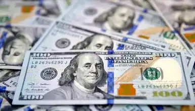 Döviz Kurları 21 Kasım 2024: Dolar Ne Kadar?