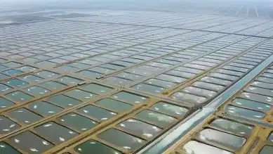 Adana'da Dünyanın İlk Su Ürünleri Tarım Bölgesi