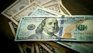 Dolar Kuru Ne Kadar? (18 Kasım 2024 Güncel Kurlar)