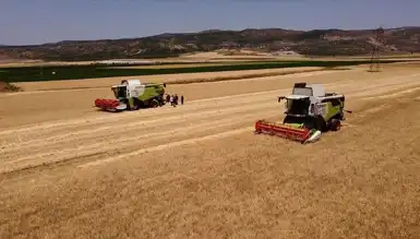 TMO: Arpa ve Yulaf Satışı Başlıyor!