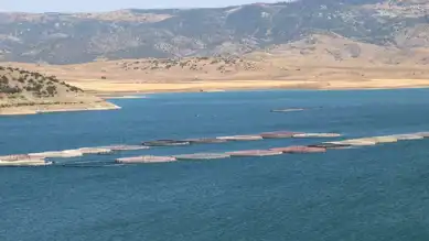 Yozgat'tan Avrupa'ya Balık İhracatı