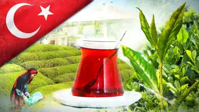 Türk Çayı İhracatı 6,2 Milyon Doları Geçti!